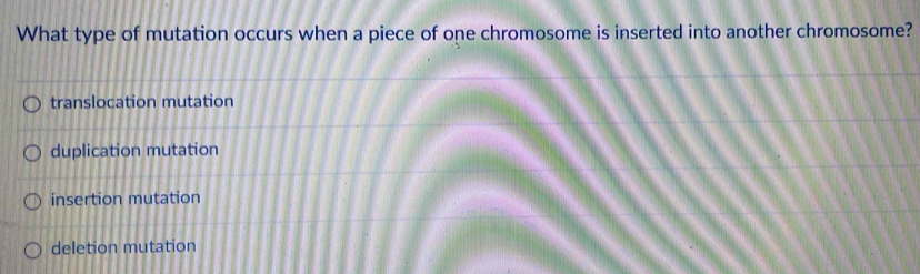 What type of mutation occurs when a piece of one chromosome is inserted into another chromosome?
translocation mutation
duplication mutation
insertion mutation
deletion mutation