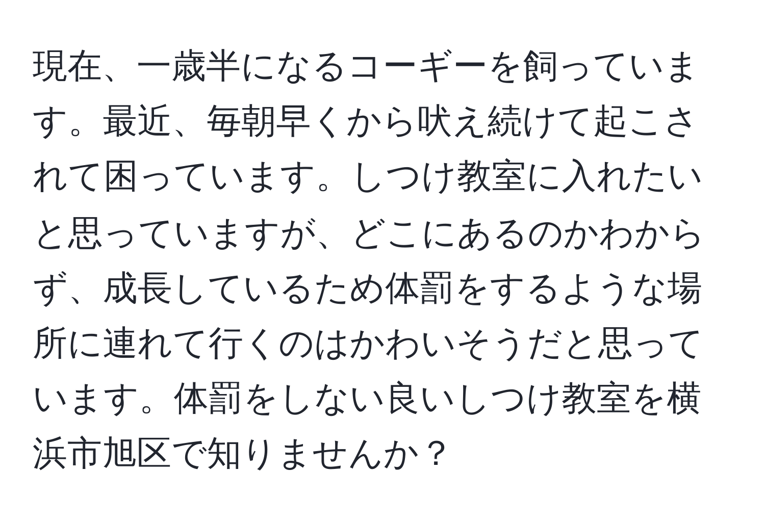 現在、一歳半になるコーギーを飼っています。最近、毎朝早くから吠え続けて起こされて困っています。しつけ教室に入れたいと思っていますが、どこにあるのかわからず、成長しているため体罰をするような場所に連れて行くのはかわいそうだと思っています。体罰をしない良いしつけ教室を横浜市旭区で知りませんか？