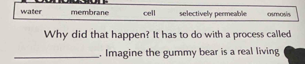 water membrane cell selectively permeable osmosis
Why did that happen? It has to do with a process called
_. Imagine the gummy bear is a real living