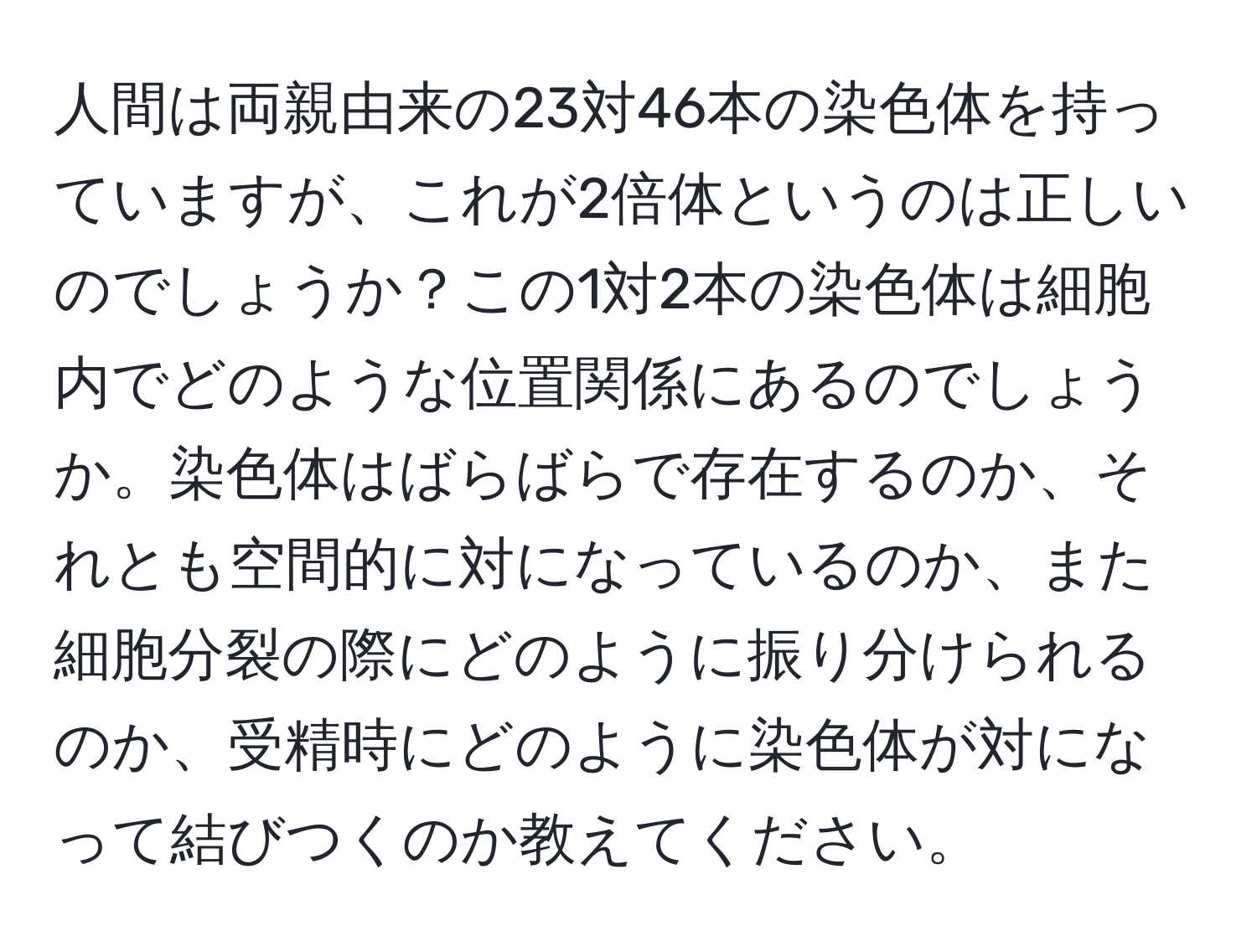 人間は両親由来の23対46本の染色体を持っていますが、これが2倍体というのは正しいのでしょうか？この1対2本の染色体は細胞内でどのような位置関係にあるのでしょうか。染色体はばらばらで存在するのか、それとも空間的に対になっているのか、また細胞分裂の際にどのように振り分けられるのか、受精時にどのように染色体が対になって結びつくのか教えてください。