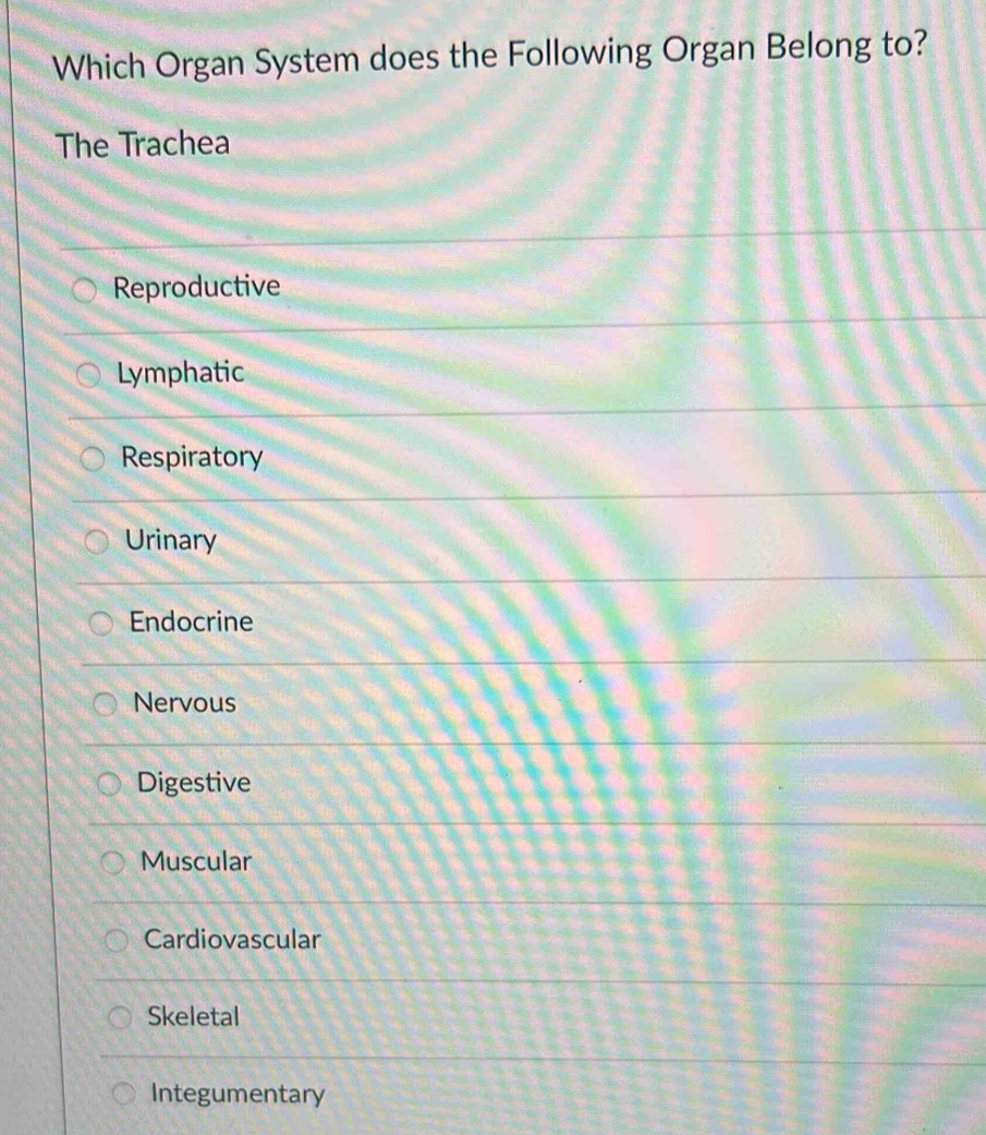 Which Organ System does the Following Organ Belong to?
The Trachea
Reproductive
Lymphatic
Respiratory
Urinary
Endocrine
Nervous
Digestive
Muscular
Cardiovascular
Skeletal
Integumentary