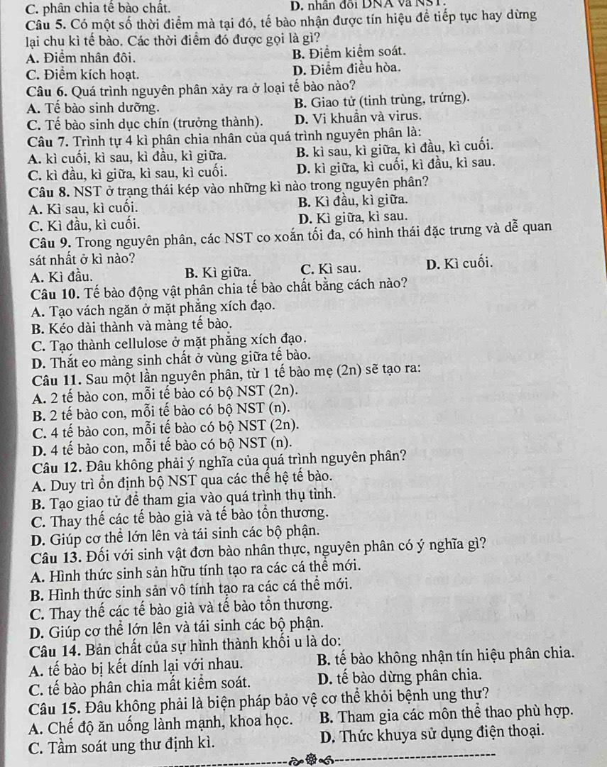 C. phân chia tế bào chất. D. nhân đồi DNA và NST.
Câu 5. Có một số thời điểm mà tại đó, tế bào nhận được tín hiệu đề tiếp tục hay dừng
lại chu kì tế bào. Các thời điểm đó được gọi là gì?
A. Điểm nhân đôi. B. Điểm kiểm soát.
C. Điểm kích hoạt. D. Điểm điều hòa.
Câu 6. Quá trình nguyên phân xảy ra ở loại tế bào nào?
A. Tế bào sinh dưỡng. B. Giao tử (tinh trùng, trứng).
C. Tế bào sinh dục chín (trưởng thành). D. Vi khuần và virus.
Câu 7. Trình tự 4 kì phân chia nhân của quá trình nguyên phân là:
A. kì cuối, kì sau, kì đầu, kì giữa. B. kì sau, kì giữa, kì đầu, kì cuối.
C. kì đầu, kì giữa, kì sau, kì cuối. D. kì giữa, kì cuối, kì đầu, kì sau.
Câu 8. NST ở trạng thái kép vào những kì nào trong nguyên phân?
A. Kì sau, kì cuối. B. Kì đầu, kì giữa.
C. Kì đầu, kì cuối. D. Kì giữa, kì sau.
Câu 9. Trong nguyên phân, các NST co xoắn tối đã, có hình thái đặc trưng và dễ quan
sát nhất ở kì nào?
A. Kì đầu. B. Kì giữa. C. Kì sau. D. Kì cuối.
Câu 10. Tế bào động vật phân chia tế bào chất bằng cách nào?
A. Tạo vách ngăn ở mặt phẳng xích đạo.
B. Kéo dài thành và màng tế bào.
C. Tạo thành cellulose ở mặt phăng xích đạo.
D. Thắt eo màng sinh chất ở vùng giữa tế bào.
Câu 11. Sau một lần nguyên phân, từ 1 tế bào mẹ (2n) sẽ tạo ra:
A. 2 tế bào con, mỗi tế bào có bộ NST (2n).
B. 2 tế bào con, mỗi tế bào có bộ NST (n).
C. 4 tế bào con, mỗi tế bào có bộ NST (2n).
D. 4 tế bào con, mỗi tế bào có bộ NST (n).
Câu 12. Đâu không phải ý nghĩa của quá trình nguyên phân?
A. Duy trì ổn định bộ NST qua các thế hệ tế bào.
B. Tạo giao tử để tham gia vào quá trình thụ tỉnh.
C. Thay thế các tế bào già và tế bào tồn thương.
D. Giúp cơ thể lớn lên và tái sinh các bộ phận.
Câu 13. Đối với sinh vật đơn bào nhân thực, nguyên phân có ý nghĩa gì?
A. Hình thức sinh sản hữu tính tạo ra các cá thể mới.
B. Hình thức sinh sản vô tính tạo ra các cá thể mới.
C. Thay thế các tế bào già và tế bào tồn thương.
D. Giúp cơ thể lớn lên và tái sinh các bộ phận.
Câu 14. Bản chất của sự hình thành khối u là do:
A. tế bào bị kết dính lại với nhau.  B. tế bào không nhận tín hiệu phân chia.
C. tế bào phân chia mất kiểm soát. D. tế bào dừng phân chia.
Câu 15. Đâu không phải là biện pháp bảo vệ cơ thể khỏi bệnh ung thư?
A. Chế độ ăn uống lành mạnh, khoa học. B. Tham gia các môn thể thao phù hợp.
C. Tầm soát ung thư định kì. D. Thức khuya sử dụng điện thoại.