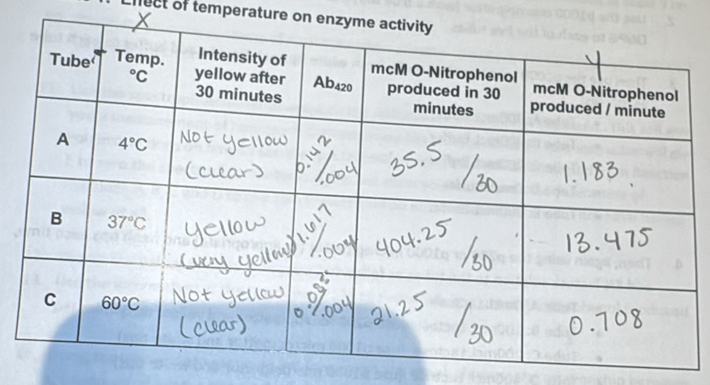 nect of temperature on en