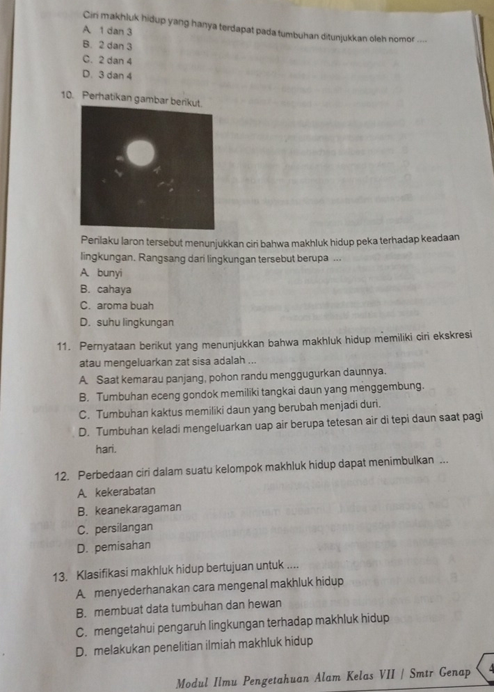 Cini makhluk hidup yang hanya terdapat pada tumbuhan ditunjukkan oleh nomor ....
A 1 dan 3
B. 2 dan 3
C. 2 dan 4
D. 3 dan 4
10. Perhatikan gambar
Perilaku laron tersebut menunjukkan ciri bahwa makhluk hidup peka terhadap keadaan
lingkungan. Rangsang dari lingkungan tersebut berupa ...
A bunyi
B. cahaya
C. aroma buah
D. suhu lingkungan
11. Pernyataan berikut yang menunjukkan bahwa makhluk hidup memiliki ciri ekskresi
atau mengeluarkan zat sisa adalah ...
A Saat kemarau panjang, pohon randu menggugurkan daunnya.
B. Tumbuhan eceng gondok memiliki tangkai daun yang menggembung.
C. Tumbuhan kaktus memiliki daun yang berubah menjadi duri.
D. Tumbuhan keladi mengeluarkan uap air berupa tetesan air di tepi daun saat pagi
hari.
12. Perbedaan ciri dalam suatu kelompok makhluk hidup dapat menimbulkan ...
A. kekerabatan
B. keanekaragaman
C. persilangan
D. pemisahan
13. Klasifikasi makhluk hidup bertujuan untuk ....
A menyederhanakan cara mengenal makhluk hidup
B. membuat data tumbuhan dan hewan
C. mengetahui pengaruh lingkungan terhadap makhluk hidup
D. melakukan penelitian ilmiah makhluk hidup
Modul Ilmu Pengetahuan Alam Kelas VII / Smtr Genap