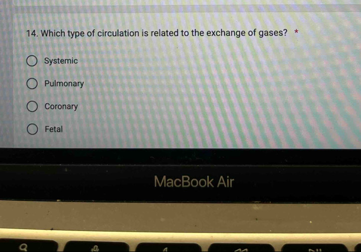 Which type of circulation is related to the exchange of gases? *
Systemic
Pulmonary
Coronary
Fetal
MacBook Air