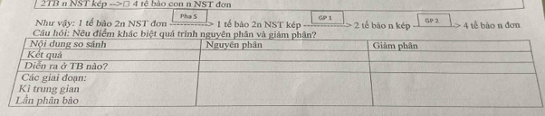 2TB n NST kép -->□ 4 tê bảo con n NST đơn 
Như vậy: 1 tế bào 2n NST đơn Pha 5 GP 1 2 tế bào n kép GP 2 4 tế bào n đơn
1 tế bào 2n NST kép 
Câu hỏiNêu đểm