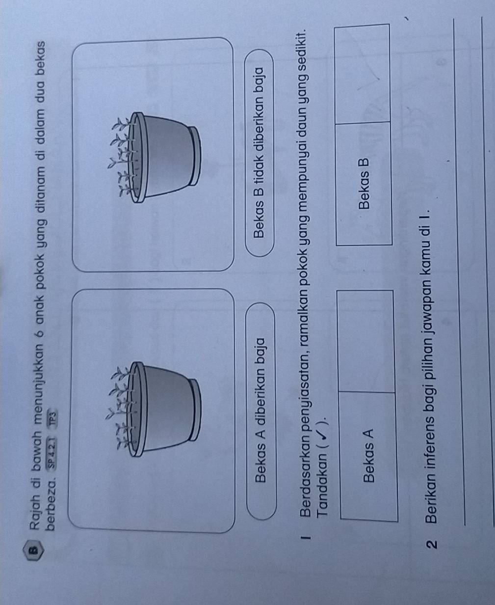 Rajah di bawah menunjukkan 6 anak pokok yang ditanam di dalam dua bekas
berbeza. SP 4.2.1
Bekas A diberikan baja Bekas B tidak diberikan baja
I Berdasarkan penyiasatan, ramalkan pokok yang mempunyai daun yang sedikit.
Tandakan ( ✔ ).
Bekas A Bekas B
2 Berikan inferens bagi pilihan jawapan kamu di 1.
_
_