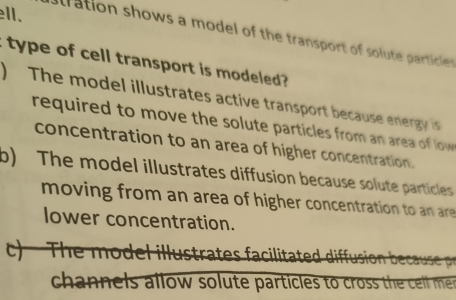 ell.
stration shows a model of the transport of solute particies .
type of cell transport is modeled ?
) The model illustrates active transport because energy is
required to move the solute particles from an area of low
concentration to an area of higher concentration.
b) The model illustrates diffusion because solute particles
moving from an area of higher concentration to a are
lower concentration.
c e i lu trate facilitate difus on cause 
channels allow solute particles to cross the cel l me .