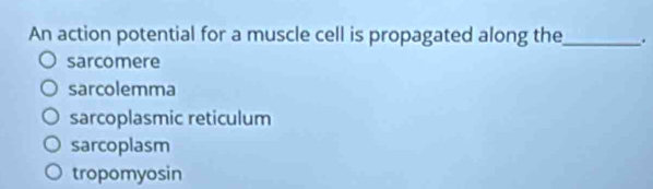 An action potential for a muscle cell is propagated along the_ .
sarcomere
sarcolemma
sarcoplasmic reticulum
sarcoplasm
tropomyosin