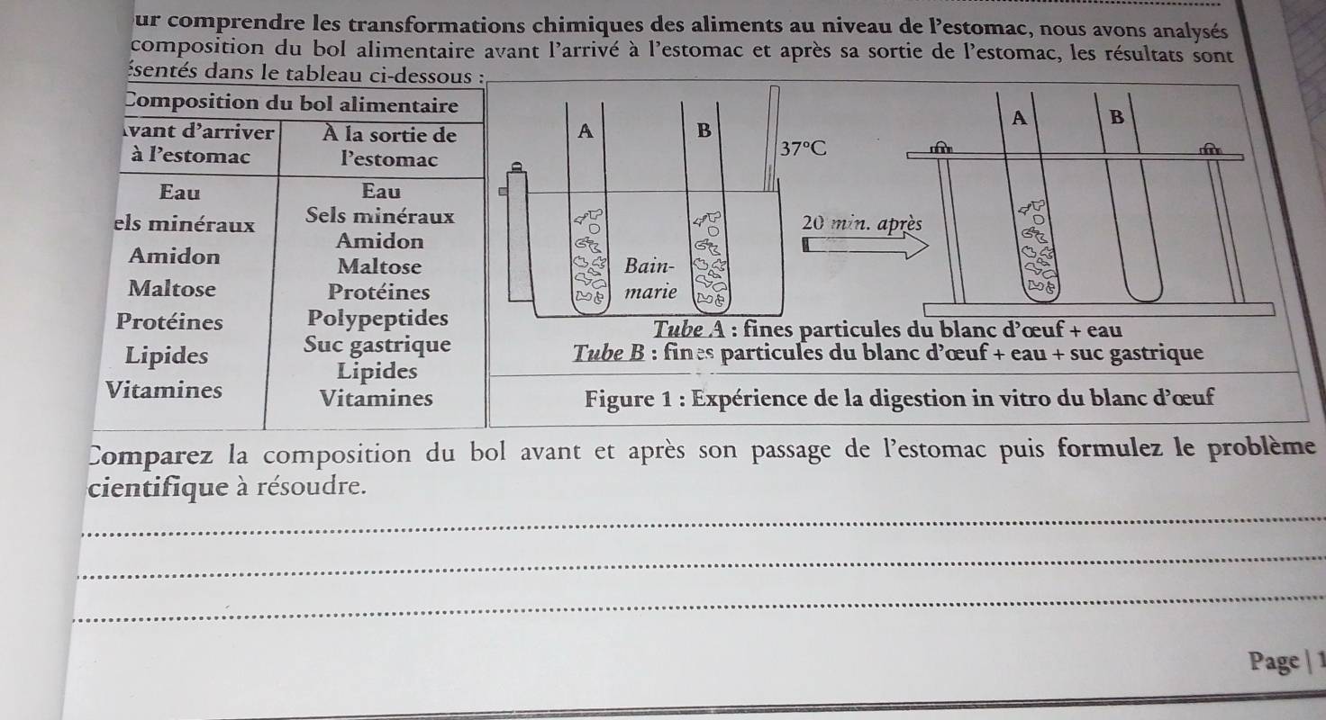 our comprendre les transformations chimiques des aliments au niveau de l'estomac, nous avons analysés
composition du bol alimentaire avant l'arrivé à l'estomac et après sa sortie de l'estomac, les résultats sont
ésentés dans le tableau ci-dess
Composition du bol alimentai
Ivant d’arriver À la sortie 
à l’estomac Pestomac
Eau Eau
els minéraux Sels minérau
Amidon
Amidon 
Maltose
Maltose Protéines 
Protéines Polypeptides Tube A : fines particules du blanc a ²œuf + eau
Lipides Suc gastrique Tube B : fines particules du blanc d’œuf + eau + suc gastrique
Lipides
Vitamines Vitamines  Figure 1 : Expérience de la digestion in vitro du blanc d'œuf
Comparez la composition du bol avant et après son passage de l'estomac puis formulez le problème
_
cientifique à résoudre.
_
_
Page | 1