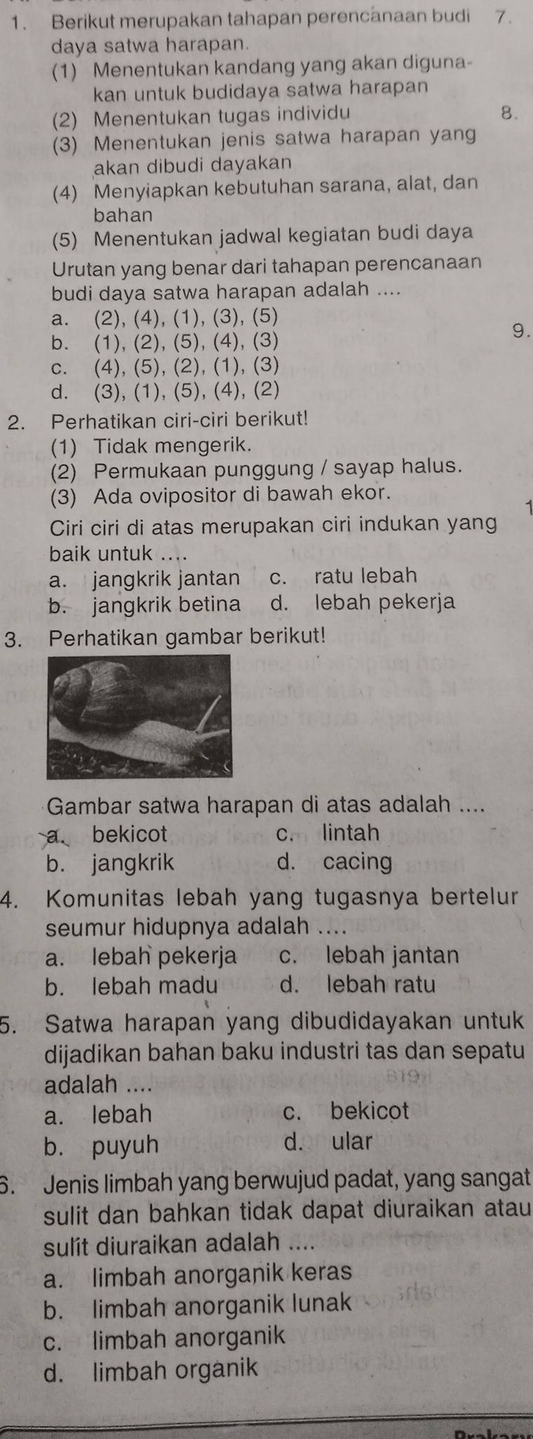 Berikut merupakan tahapan perencanaan budi 7.
daya satwa harapan.
(1) Menentukan kandang yang akan diguna-
kan untuk budidaya satwa harapan
(2) Menentukan tugas individu 8.
(3) Menentukan jenis satwa harapan yang
akan dibudi dayakan
(4) Menyiapkan kebutuhan sarana, alat, dan
bahan
(5) Menentukan jadwal kegiatan budi daya
Urutan yang benar dari tahapan perencanaan
budi daya satwa harapan adalah ....
a. (2), (4), (1), (3), (5)
9.
b. (1), (2), (5), (4), (3)
c. (4), (5), (2), (1), (3)
d. (3), (1), (5), (4), (2)
2. Perhatikan ciri-ciri berikut!
(1) Tidak mengerik.
(2) Permukaan punggung / sayap halus.
(3) Ada ovipositor di bawah ekor.
Ciri ciri di atas merupakan ciri indukan yang
baik untuk ....
a. jangkrik jantan c. ratu lebah
b. jangkrik betina d. lebah pekerja
3. Perhatikan gambar berikut!
Gambar satwa harapan di atas adalah ....
a bekicot c. lintah
b. jangkrik d. cacing
4. Komunitas lebah yang tugasnya bertelur
seumur hidupnya adalah ....
a. lebah pekerja c. lebah jantan
b. lebah madu d. lebah ratu
5. Satwa harapan yang dibudidayakan untuk
dijadikan bahan baku industri tas dan sepatu
adalah ....
a. lebah c. bekicot
b. puyuh
d. ular
6. Jenis limbah yang berwujud padat, yang sangat
sulit dan bahkan tidak dapat diuraikan atau
sulit diuraikan adalah ....
a. limbah anorganik keras
b. limbah anorganik lunak
c. limbah anorganik
d. limbah organik