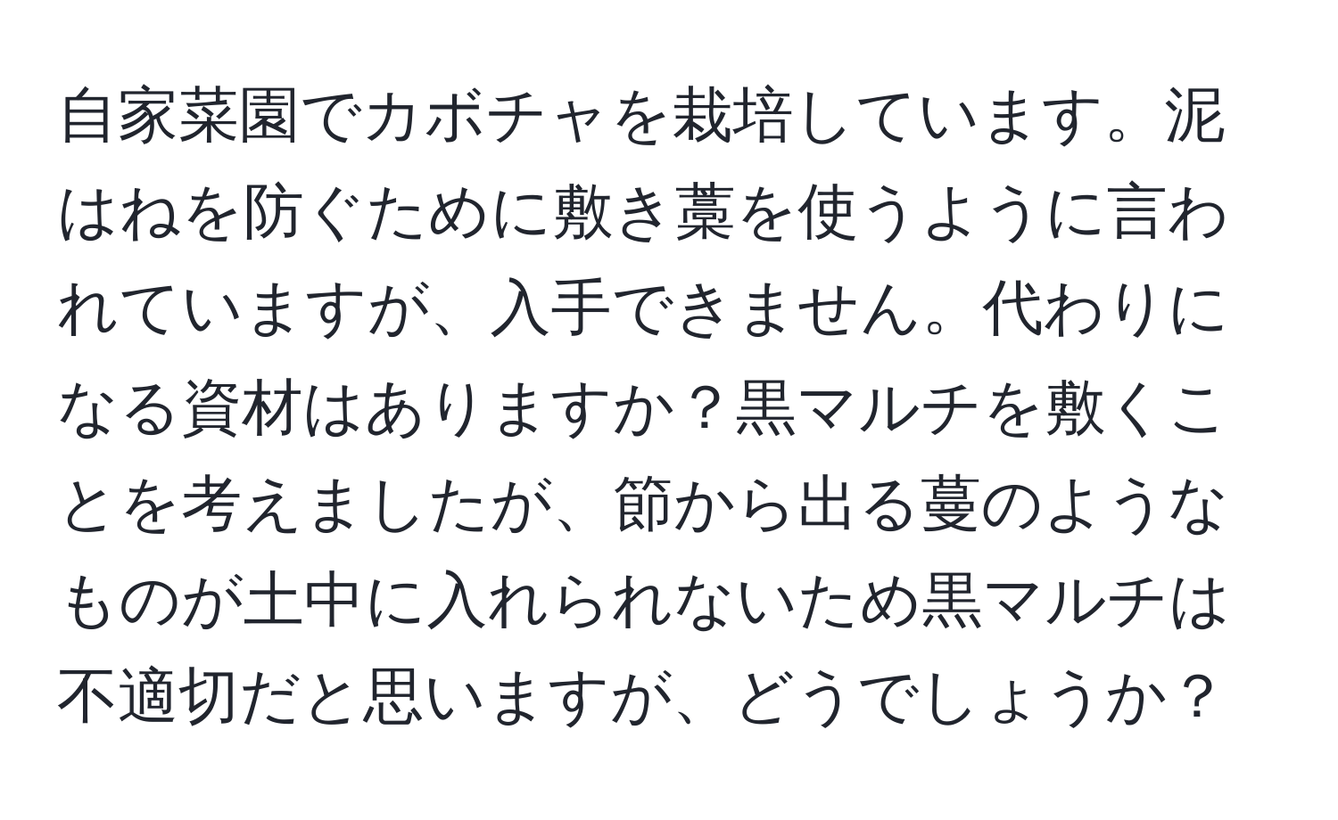 自家菜園でカボチャを栽培しています。泥はねを防ぐために敷き藁を使うように言われていますが、入手できません。代わりになる資材はありますか？黒マルチを敷くことを考えましたが、節から出る蔓のようなものが土中に入れられないため黒マルチは不適切だと思いますが、どうでしょうか？