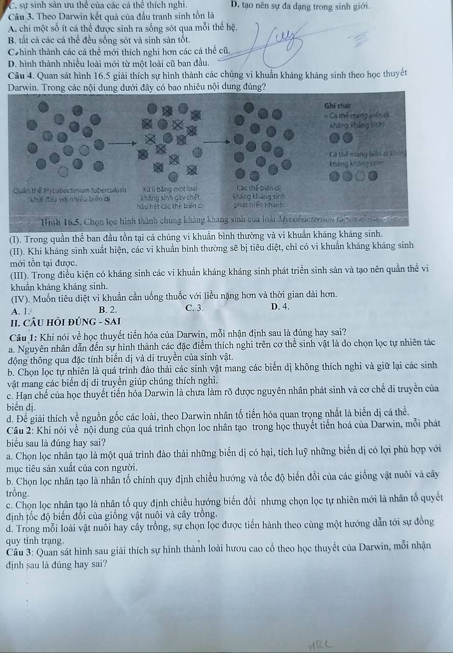 C. sự sinh sản ưu thể của các cá thể thích nghi. D. tạo nên sự đa dạng trong sinh giới.
Câu 3. Theo Darwin kết quả của đấu tranh sinh tồn là
A. chi một số ít cá thể được sinh ra sống sót qua mỗi thế hệ.
B. tất cả các cá thể đều sống sót và sinh sản tốt.
Chình thành các cá thể mới thích nghi hơn các cá thể cũ.
D. hình thành nhiều loài mới từ một loài cũ ban đầu.
Câu 4. Quan sát hình 16.5 giải thích sự hình thành các chủng vi khuẩn kháng kháng sinh theo học thuyết
Darwin. Trong các nội dung dưới đây có bao nhiêu nội dung đúng?
(I). Trong quần thể ban đầu tồn tại cả chủng vi khuẩn bình thường và vi khuẩn kháng kháng sinh.
(II). Khi kháng sinh xuất hiện, các vi khuẩn bình thường sẽ bị tiêu diệt, chỉ có vi khuẩn kháng kháng sinh
mới tồn tại được.
(III). Trong điều kiện có kháng sinh các vi khuẩn kháng kháng sinh phát triển sinh sản và tạo nên quần thể vi
khuẩn kháng kháng sinh.
(IV). Muốn tiêu diệt vi khuẩn cần uống thuốc với liều nặng hơn và thời gian dài hơn.
A. 1. B. 2. C. 3.
D. 4.
II. CÂU HI ĐÚNG - SAI
Câu 1: Khi nói về học thuyết tiến hóa của Darwin, mỗi nhận định sau là đúng hay sai?
a. Nguyên nhân dẫn đến sự hình thành các đặc điểm thích nghi trên cơ thể sinh vật là do chọn lọc tự nhiên tác
động thông qua đặc tính biến dị và di truyền của sinh vật.
b. Chọn lọc tự nhiên là quá trình đào thải các sinh vật mang các biến dị không thích nghi và giữ lại các sinh
vật mang các biển dị di truyền giúp chúng thích nghi.
c. Hạn chế của học thuyết tiến hóa Darwin là chưa làm rõ được nguyên nhân phát sinh và cơ chế di truyền của
biển dị.
d. Để giải thích về nguồn gốc các loài, theo Darwin nhân tố tiến hóa quan trọng nhất là biến dị cá thể.
Câu 2: Khi nói về nội dung của quá trình chọn loc nhân tạo trong học thuyết tiền hoá của Darwin, mỗi phát
biểu sau là đúng hay sai?
a. Chọn lọc nhân tạo là một quá trình đào thải những biển dị có hại, tích luỹ những biển dị có lợi phù hợp với
mục tiêu sản xuất của con người.
b. Chọn lọc nhân tạo là nhân tố chính quy định chiều hướng và tốc độ biến đổi của các giống vật nuôi và cây
trồng.
c. Chọn lọc nhân tạo là nhân tố quy định chiều hướng biến đổi nhưng chọn lọc tự nhiên mới là nhân tố quyết
định tốc độ biến đổi của giống vật nuôi và cây trồng.
d. Trong mỗi loài vật nuôi hay cây trồng, sự chọn lọc được tiến hành theo cùng một hướng dẫn tới sự đồng
quy tính trạng.
Câu 3: Quan sát hình sau giải thích sự hình thành loài hươu cao cổ theo học thuyết của Darwin, mỗi nhận
định sau là đúng hay sai?