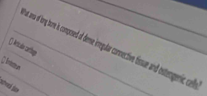 ut anea of long bone is composed of dense irreular connective tisue n ostengenic ca 
() Articalos cartlinge 
() Endosteurs_