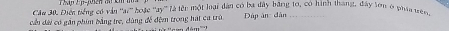 Thập Ep-phen đô khí tu 
Câu 30. Điển tiếng có vẫn “ai” hoặc “ay” là tên một loại đân có ba dây bằng tơ, có hình thang, đây lớn ở phía trên, 
cần dài có gần phim bằng tre, dùng để đệm trong hát ca trù. Đáp án: dàn_ 
can đâm''?