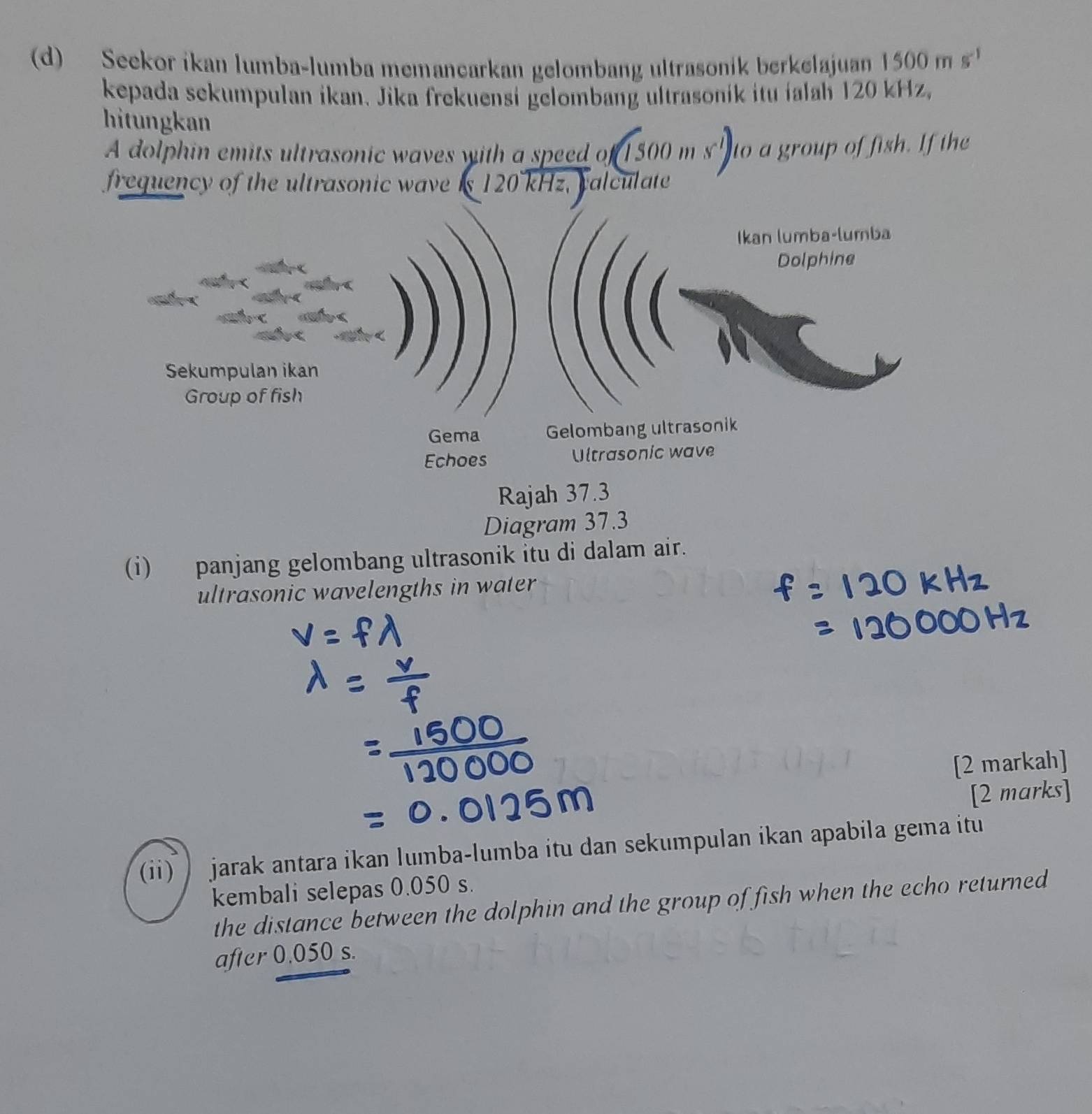 Seekor ikan lumba-lumba memançarkan gelombang ultrasonik berkelajuan 1500ms^(-1)
kepada sekumpulan ikan. Jika frekuensi gelombang ultrasonik itu íalah 120 kHz, 
hitungkan (1500ms^(-1)) to a group of fish. If the 
A dolphin emits ultrasonic waves with a speed of 
frequency of the ultrasonic wave is 120 kHz, calculate 
Ikan lumba-lumba 
Dolphine 
Sekumpulan ikan 
Group of fish 
Gema Gelombang ultrasonik 
Echoes Ultrasonic wave 
Rajah 37.3 
Diagram 37.3 
(i) panjang gelombang ultrasonik itu di dalam air. 
ultrasonic wavelengths in water 
[2 markah] 
[2 marks] 
(ii) jarak antara ikan lumba-lumba itu dan sekumpulan ikan apabila gema itu 
kembali selepas 0.050 s. 
the distance between the dolphin and the group of fish when the echo returned 
after 0.050 s.