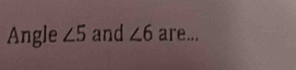 Angle ∠ 5 and ∠ 6 are...