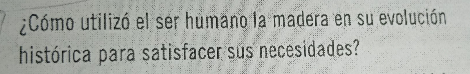 ¿Cómo utilizó el ser humano la madera en su evolución 
histórica para satisfacer sus necesidades?