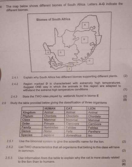 The map below shows different biomes of South Africa. Letters A-G indicate the 
different bioes 
2.4.1 Explain why South Africa has different biomes supporting different plants. (2) 
2.4.2 Region marked D is characterised with extremely high temperatures. 
Suggest ONE way in which the animals in this region are adapted to 
withstand the extreme high temperature conditions . (1) 
2.4.3 State the TWO roles played by wetlands found in biome E (2) 
2.5 Study the table provided below giving the classification of three organisms (5) 
2.5.1 Use the binomial system to give the scientific name for the lion. (2) 
2.5.2 List TWO characteristics that all organisms that belong to this class will have (2) 
in common. 
2.5.3 Use information from the table to explain why the cat is more closely related (2) 
to the lion than to humans. (6)