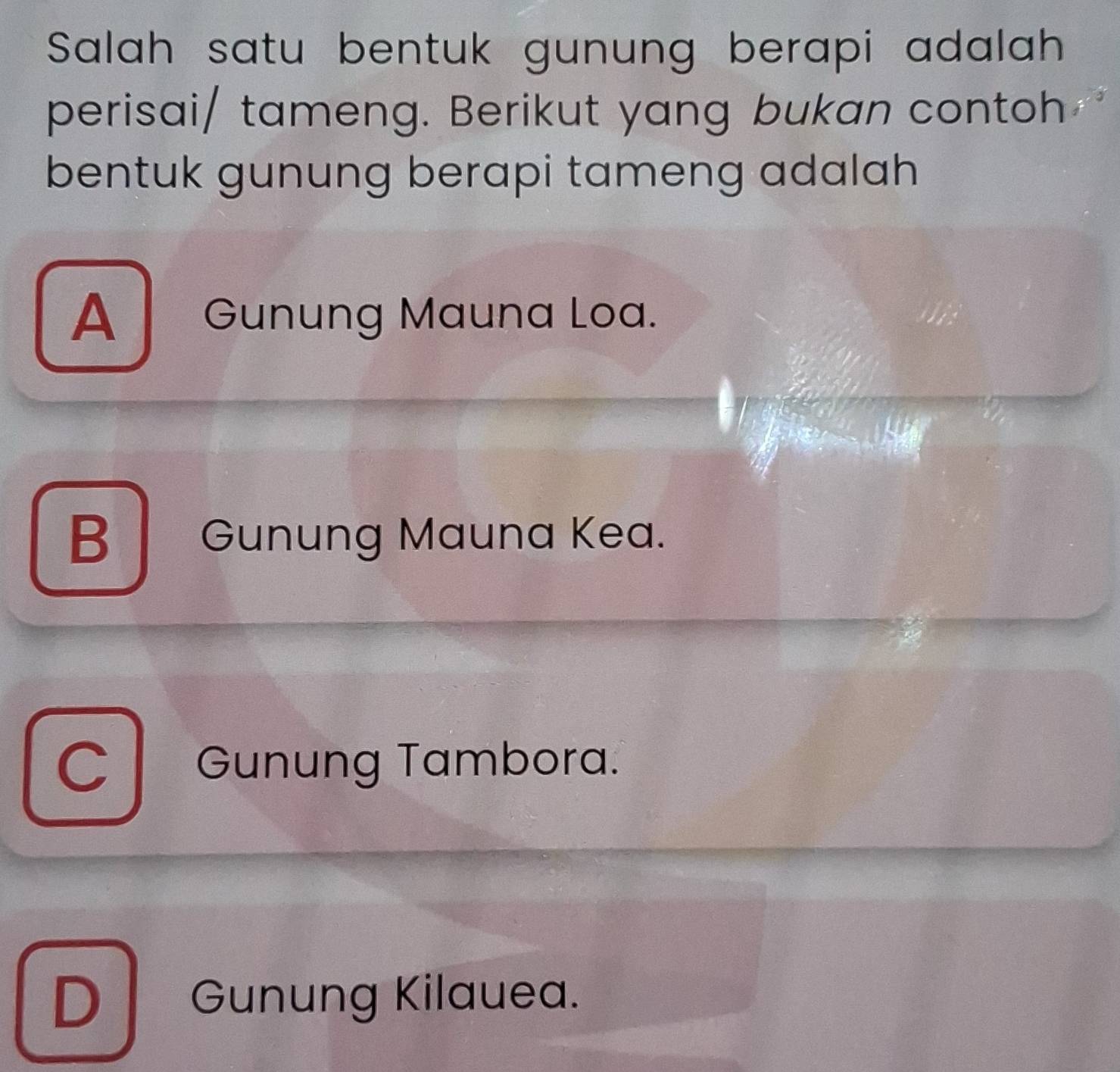 Salah satu bentuk gunung berapi adalah
perisai/ tameng. Berikut yang bukan contoh
bentuk gunung berapi tameng adalah
A Gunung Mauna Loa.
B Gunung Mauna Kea.
C Gunung Tambora.
D Gunung Kilauea.