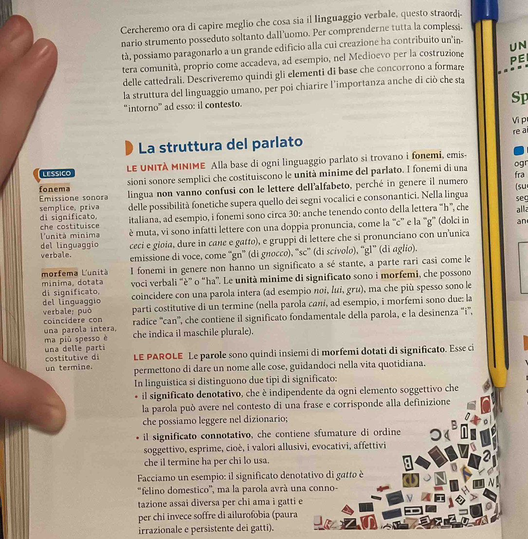 Cercheremo ora di capire meglio che cosa sia il linguaggio verbale, questo straordi-
nario strumento posseduto soltanto dall’uomo. Per comprenderne tutta la complessi-
tà, possiamo paragonarlo a un grande edificio alla cui creazione ha contribuito un’in-
tera comunità, proprio come accadeva, ad esempio, nel Medioevo per la costruzione UN
PE
delle cattedrali. Descriveremo quindi gli elementi di base che concorrono a formare
la struttura del linguaggio umano, per poi chiarire l’importanza anche di ciò che sta
“intorno” ad esso: il contesto.
Sp
Vi p
re a
La struttura del parlato
ogr
LESSICO LE UNITÀ MINIME Alla base di ogni linguaggio parlato si trovano i fonemi, emis-
fonema sioni sonore semplici che costituiscono le unità minime del parlato. I fonemi di una fra
Emissione sonora lingua non vanno confusi con le lettere dell’alfabeto, perché in genere il numero (su
semplice, priva delle possibilità fonetiche supera quello dei segni vocalici e consonantici. Nella lingua seg
di significato, italiana, ad esempio, i fonemi sono circa 30: anche tenendo conto della lettera “h”, che alla
che costituisce
l'unità minima è muta, vi sono infatti lettere con una doppia pronuncia, come la “c” e la “g” (dolci in an
del linguaggio ceci e gioia, dure in cane e gatto), e gruppi di lettere che si pronunciano con un’unica
verbale.
emissione di voce, come “gn” (di gnocco), “sc” (di scivolo), “gl” (di aglio).
morfema L'unità I fonemi in genere non hanno un significato a sé stante, a parte rari casi come le
minima, dotata voci verbali “è” o “ha”. Le unità minime di significato sono i morfemi, che possono
di significato, coincidere con una parola intera (ad esempio noi, lui, gru), ma che più spesso sono le
del linguaggio
verbale; può parti costitutive di un termine (nella parola cani, ad esempio, i morfemi sono due: la
coincidere con radice “can”, che contiene il significato fondamentale della parola, e la desinenza “i”,
una parola intera, che indica il maschile plurale).
ma più spesso è
una delle parti
costítutive di LE PAROLE Le parole sono quindi insiemi di morfemi dotati di significato. Esse ci
un termine. permettono di dare un nome alle cose, guidandoci nella vita quotidiana.
In linguistica si distinguono due tipi di significato:
il significato denotativo, che è indipendente da ogni elemento soggettivo che
la parola può avere nel contesto di una frase e corrisponde alla definizione
che possiamo leggere nel dizionario;
il significato connotativo, che contiene sfumature di ordine
soggettivo, esprime, cioè, i valori allusivi, evocativi, affettivi
che il termine ha per chi lo usa.
Facciamo un esempio: il significato denotativo di gatto è
“felino domestico”, ma la parola avrà una conno-
tazione assai diversa per chi ama i gatti e
per chi invece soffre di ailurofobia (paura
irrazionale e persistente dei gatti).