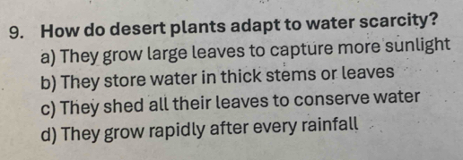 How do desert plants adapt to water scarcity?
a) They grow large leaves to capture more sunlight
b) They store water in thick stems or leaves
c) They shed all their leaves to conserve water
d) They grow rapidly after every rainfall