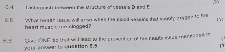 (2) 
6.4 Distinguish between the structure of vessels D and E. 
6.5 What health issue will arise when the blood vessels that supply oxygen to the 
(1) 
heart muscle are clogged? 
6.6 Give ONE tip that will lead to the prevention of the health issue mentioned in 
 
your answer to question 6.5. 
[1