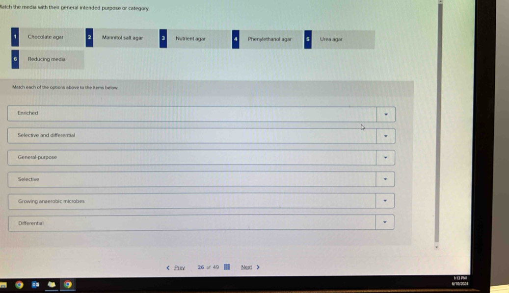 atch the media with their general intended purpose or category.
Match each of the options above to the items below
Enriched
Selective and differential
General-purpose
Selective
Growing anaerobic microbes
Differential
《 Prev 26 of 49 Next >