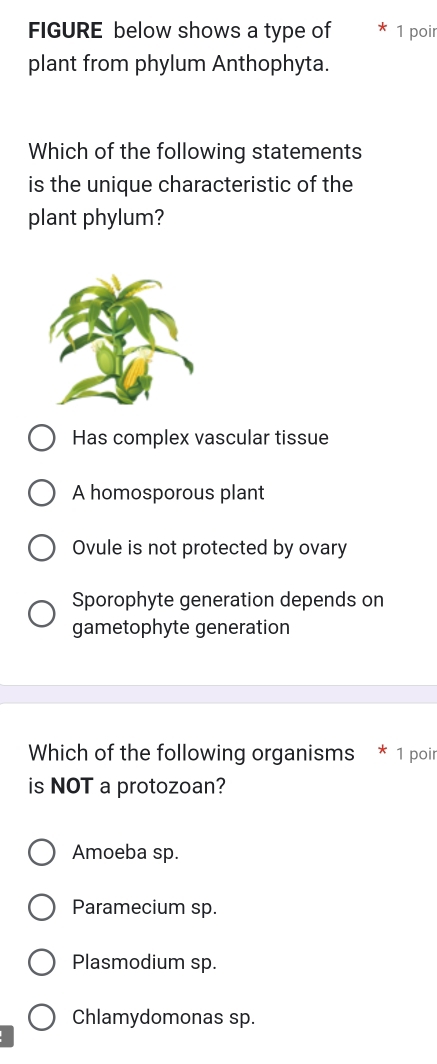 FIGURE below shows a type of 1 poir
plant from phylum Anthophyta.
Which of the following statements
is the unique characteristic of the
plant phylum?
Has complex vascular tissue
A homosporous plant
Ovule is not protected by ovary
Sporophyte generation depends on
gametophyte generation
Which of the following organisms * 1 poin
is NOT a protozoan?
Amoeba sp.
Paramecium sp.
Plasmodium sp.
Chlamydomonas sp.