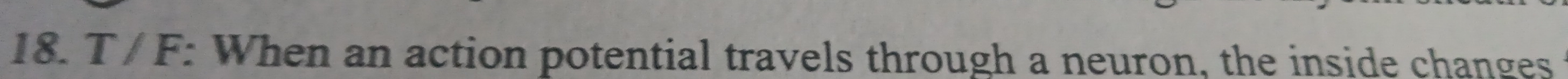 T / F : When an action potential travels through a neuron, the inside changes
