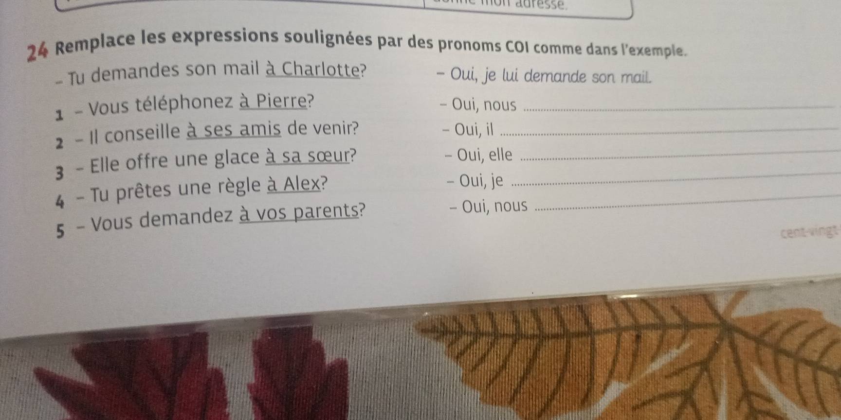 mon adresse 
24 Remplace les expressions soulignées par des pronoms COI comme dans l'exemple. 
- Tu demandes son mail à Charlotte? - Oui, je lui demande son mail. 
1 - Vous téléphonez à Pierre? - Oui, nous_ 
2 - Il conseille à ses amis de venir? - Oui, il_ 
3 - Elle offre une glace à sa sœur?__ 
- Oui, elle 
4 - Tu prêtes une règle à Alex?_ 
- Oui, je 
5 - Vous demandez à vos parents? 
- Oui, nous 
cent-vingt