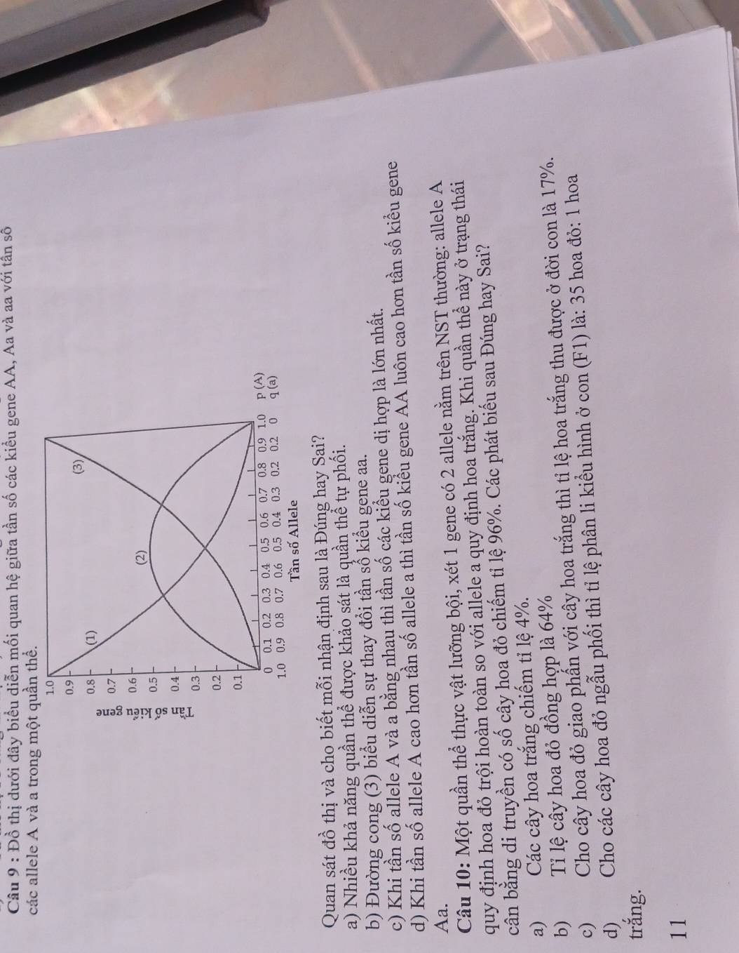 Đồ thị dưới đây biểu diễn mối quan hệ giữa tần số các kiểu gene AA, Aa và aa vdot Odot 1 tân số
các allele A và a trong một quần thể.
1.0
0.9
(3)
0.8 (1)
0.7
0.6
(2)
0.5
0.4
0.3
0.2
0.1
0 0.1 0.2 0.3 0.4 0.5 0.6 0.7 0.8 0.9 1.0 p(A)
1.0 0.9 0.8 0.7 0.6 0.5 0.4 0.3 0.2 0.2 0 q(a)
Tần số Allele
Quan sát đồ thị và cho biết mỗi nhận định sau là Đúng hay Sai?
a) Nhiều khả năng quần thể được khảo sát là quần thể tự phối.
b) Đường cong (3) biểu diễn sự thay đổi tần số kiểu gene aa.
c) Khi tần số allele A và a bằng nhau thì tần số các kiểu gene dị hợp là lớn nhất.
d) Khi tần số allele A cao hơn tần số allele a thì tần số kiểu gene AA luôn cao hơn tần số kiểu gene
Aa.
Câu 10: Một quần thể thực vật lưỡng bội, xét 1 gene có 2 allele nằm trên NST thường: allele A
quy định hoa đỏ trội hoàn toàn so với allele a quy định hoa trắng. Khi quần thể này ở trạng thái
cân bằng di truyền có số cây hoa đỏ chiếm tỉ lệ 96%. Các phát biểu sau Đúng hay Sai?
a) Các cây hoa trắng chiếm tỉ lệ 4%.
b) Tỉ lệ cây hoa đỏ đồng hợp là 64%
c) Cho cây hoa đỏ giao phấn với cây hoa trắng thì tỉ lệ hoa trắng thu được ở đời con là 17%.
d) Cho các cây hoa đỏ ngẫu phối thì tỉ lệ phân li kiểu hình ở con (F1) là: 35 hoa đỏ: 1 hoa
trắng.
11