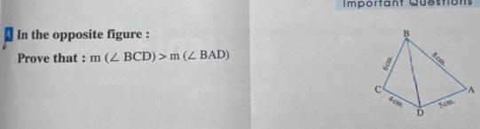 Important Question 
In the opposite figure : 
Prove that : m(∠ BCD)>m(∠ BAD)