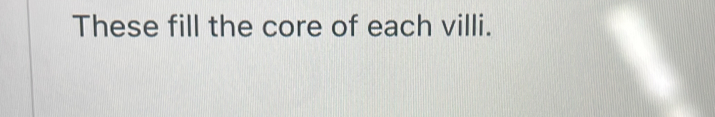 These fill the core of each villi.