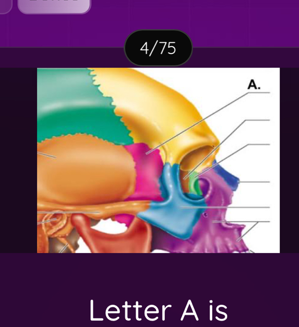 4/75
Letter A is