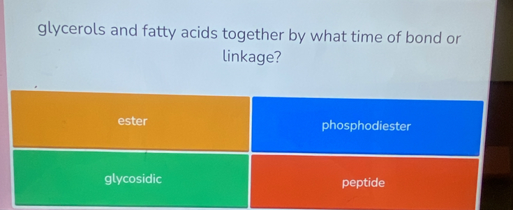 glycerols and fatty acids together by what time of bond or
linkage?
ester phosphodiester
glycosidic peptide