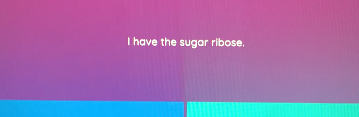 have the sugar ribose.