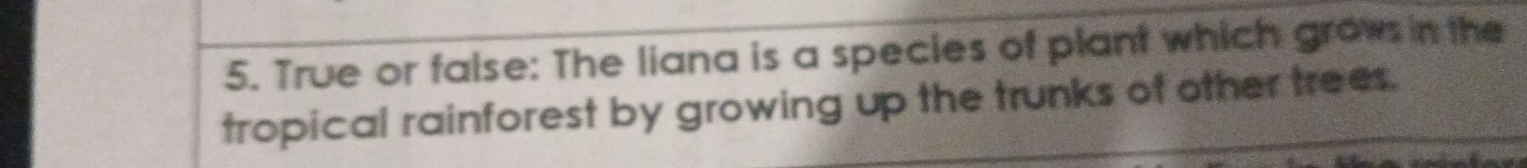 True or false: The liana is a species of plant which grows in the 
tropical rainforest by growing up the trunks of other trees.