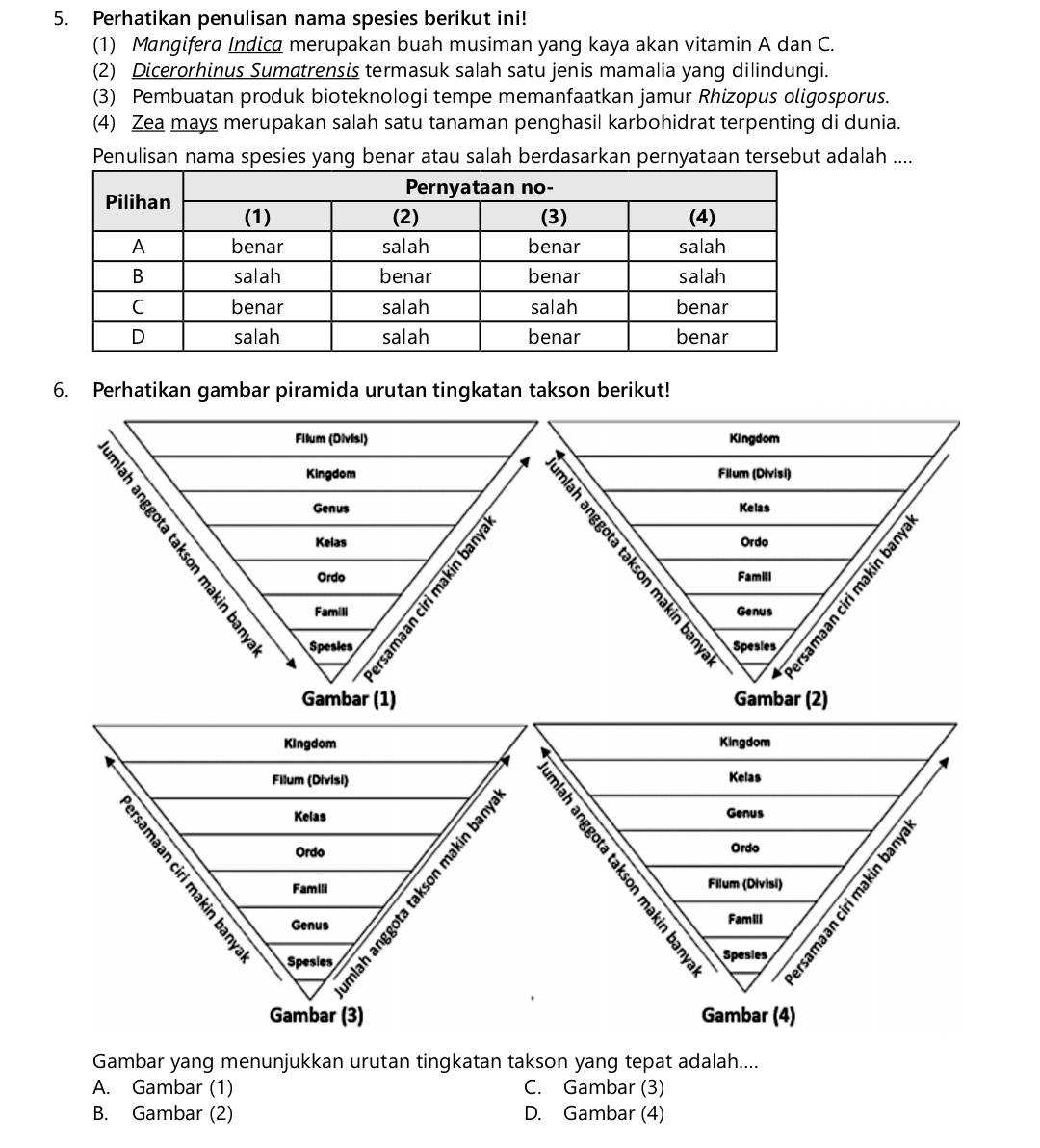 Perhatikan penulisan nama spesies berikut ini!
(1) Mangifera Indica merupakan buah musiman yang kaya akan vitamin A dan C.
(2) Dicerorhinus Sumatrensis termasuk salah satu jenis mamalia yang dilindungi.
(3) Pembuatan produk bioteknologi tempe memanfaatkan jamur Rhizopus oligosporus.
(4) Zea mays merupakan salah satu tanaman penghasil karbohidrat terpenting di dunia.
Penulisan nama spesies yang benar atau salah berdasarkan pernyataan tersebut adalah ....
6. Perhatikan gambar piramida urutan tingkatan takson berikut!
Kingdom
Filum (Divisi)
Kelas
Ordo
Famili
Spesies
Genus
Gambar (2)
Kingdom Kingdom
Filum (Divisi) Kelas
Kelas Genus

Ordo Ordo
Famili Filum (Divisi)
Spesies 
Genus Famiii
Spesies
Gambar (3) Gambar (4)
Gambar yang menunjukkan urutan tingkatan takson yang tepat adalah....
A. Gambar (1) C. Gambar (3)
B. Gambar (2) D. Gambar (4)
