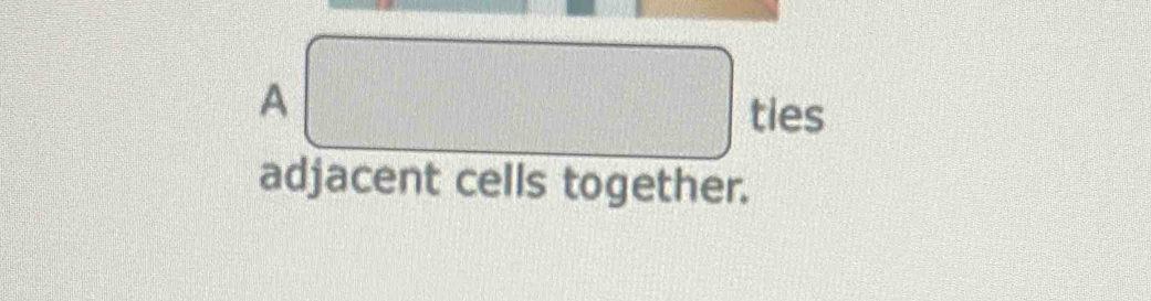 A x_(□)° frac  ties
f(-4)=
adjacent cells together.