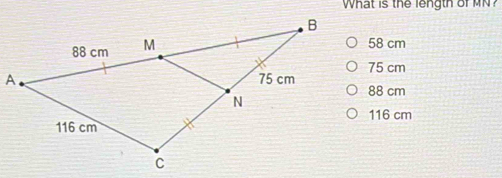 What is the length ofMN?
58 cm
75 cm
88 cm
116 cm