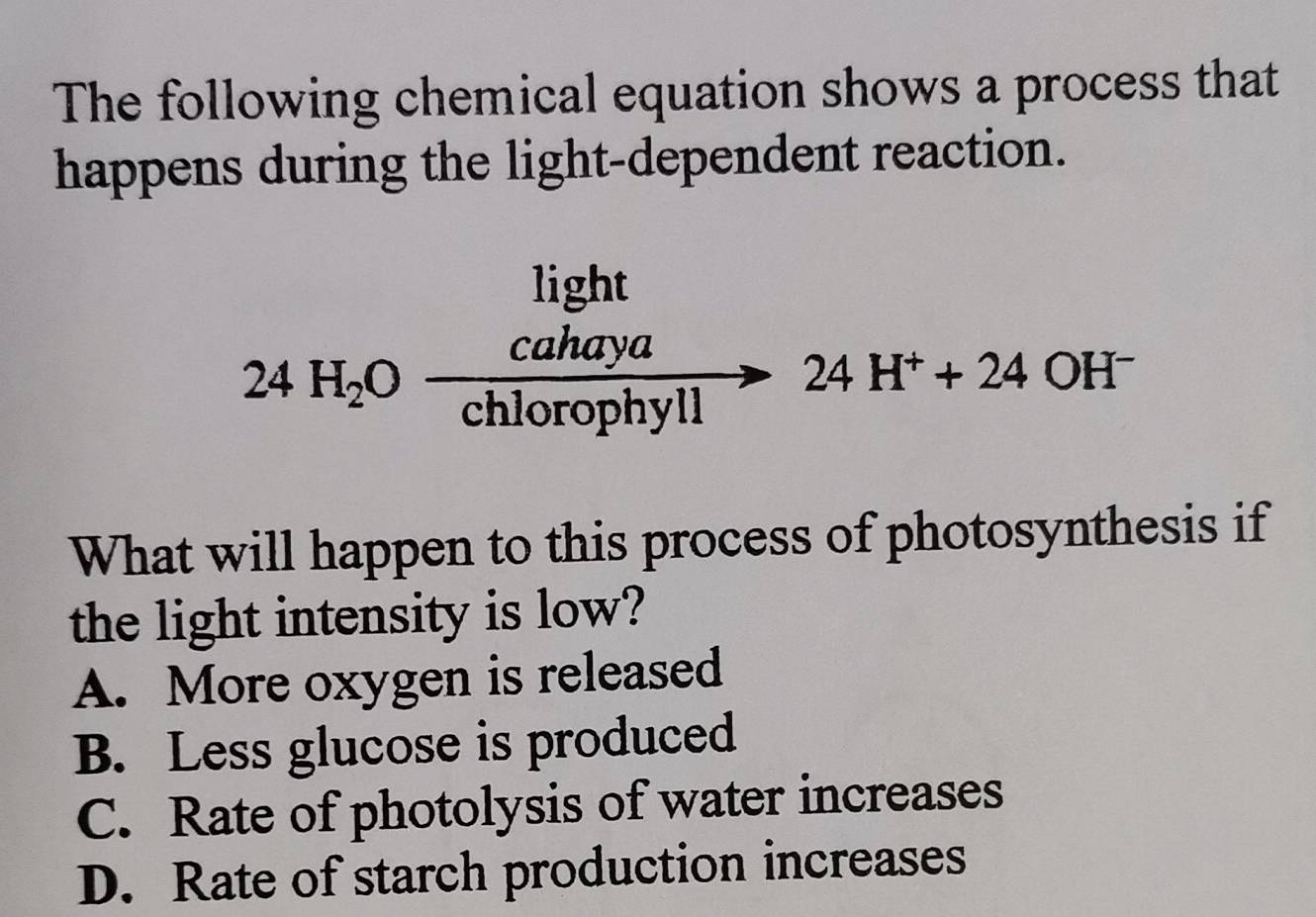 The following chemical equation shows a process that
happens during the light-dependent reaction.
light
cahaya
24H^++24OH
24H_2O chlorophyll
What will happen to this process of photosynthesis if
the light intensity is low?
A. More oxygen is released
B. Less glucose is produced
C. Rate of photolysis of water increases
D. Rate of starch production increases