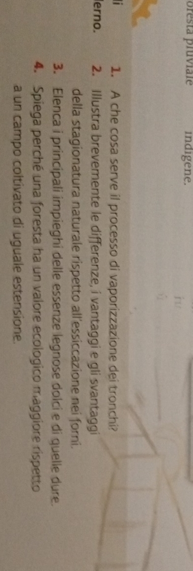 presta pluviale indigene. 
inur 

_ 
1. A che cosa serve il processo di vaporizzazione dei tronchi? 
erno. 2. Illustra brevemente le differenze, i vantaggi e gli svantaggi 
della stagionatura naturale rispetto all'essiccazione nei forni. 
3. Elenca i principali impieghi delle essenze legnose dolci e di quelle dure. 
4. Spiega perché una foresta ha un valore ecologico maggiore rispetto 
a un campo coltivato di uguale estensione.