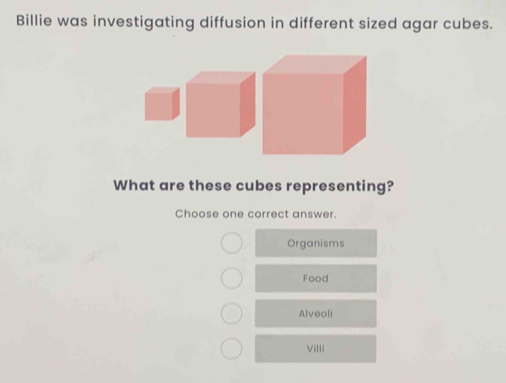 Billie was investigating diffusion in different sized agar cubes.
What are these cubes representing?
Choose one correct answer.
Organisms
Food
Alveoli
Villi