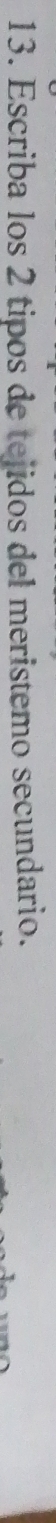 Escriba los 2 tipos de tejidos del meristemo secundario.