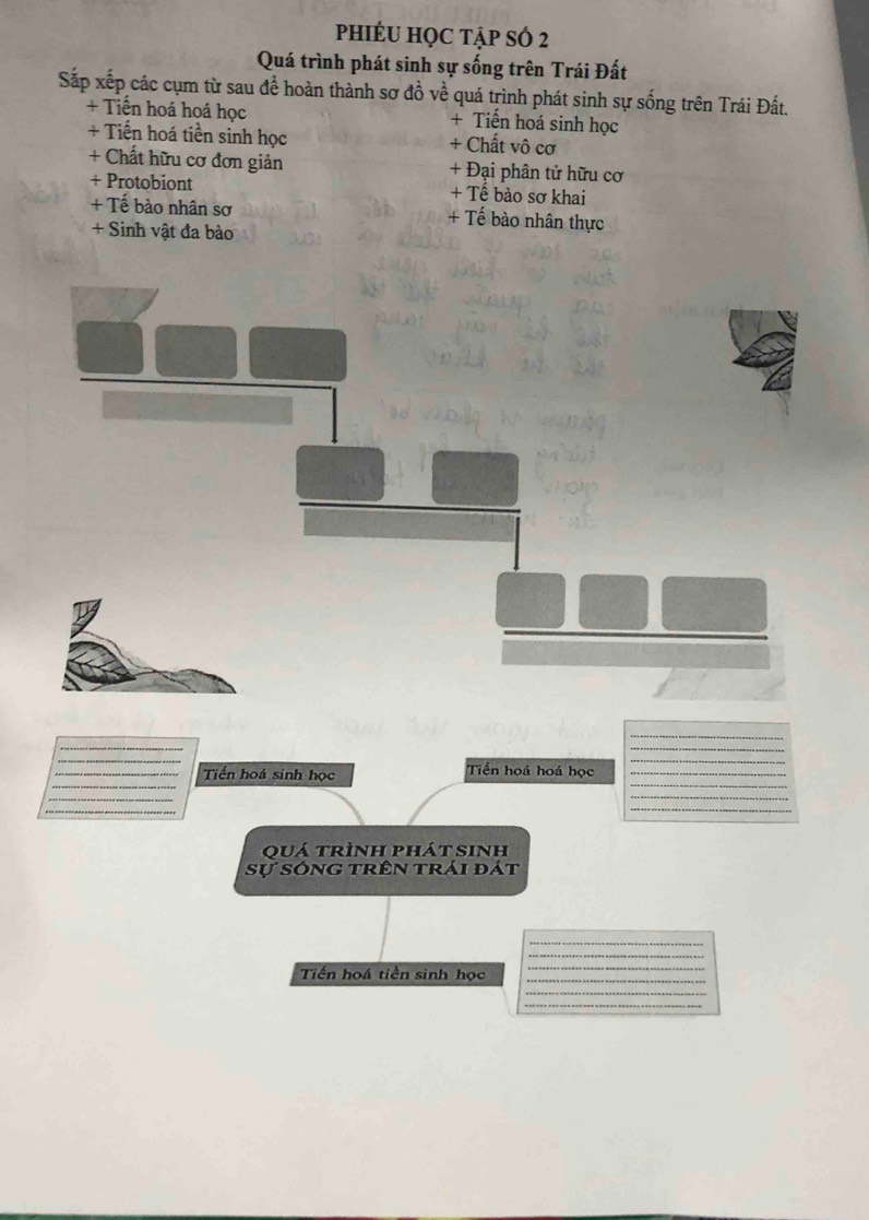 phIÉU họC tập số 2 
Quá trình phát sinh sự sống trên Trái Đất 
Sắp xếp các cụm từ sau đề hoàn thành sơ đồ về quá trình phát sinh sự sống trên Trái Đất. 
+ Tiến hoá hoá học + Tiến hoá sinh học 
+ Tiến hoá tiền sinh học + Chất vô cơ 
+ Chất hữu cơ đơn giản + Đại phân tử hữu cơ 
+ Protobiont + Tế bào sơ khai 
+ Tế bào nhân sơ + Tế bào nhân thực 
+ Sinh vật đa bào 
_ 
_ 
_ 
_ 
_ 
_ 
Tiến hoá sinh học Tiến hoá hoá học_ 
_ 
_ 
Quá trình phát sinh 
Sự sóng trên trái đát 
Tiến hoá tiền sinh học 
_ 
_