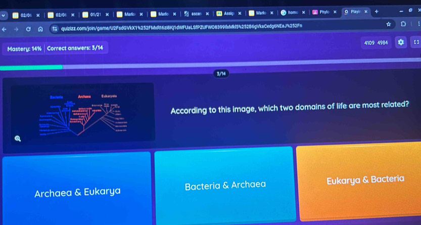 02/06 Mario
lay
quizizz.com/join/game/U2FsdGVkX1%252FMxRt6zi8Kj1dWFUaLSfPZUFWO8399lxMkl5%252B6gVkaCedg6NEaJ%252Fn
109 4984
Mastery: 14% Correct answers: 3/14
ccording to this image, which two domains of life are most related?
Archaea & Eukarya Bacteria & Archaea Eukarya & Bacteria
