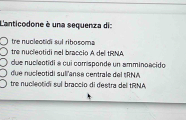 L'anticodone è una sequenza di:
tre nucleotidi sul ribosoma
tre nucleotidi nel braccio A del tRNA
due nucleotidi a cui corrisponde un amminoacido
due nucleotidi sull'ansa centrale del tRNA
tre nucleotidi sul braccio di destra del tRNA