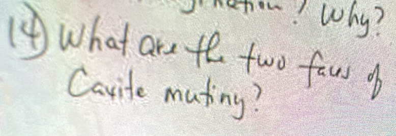 o~! Why? 
④What are to two faus of 
Cavite muting?