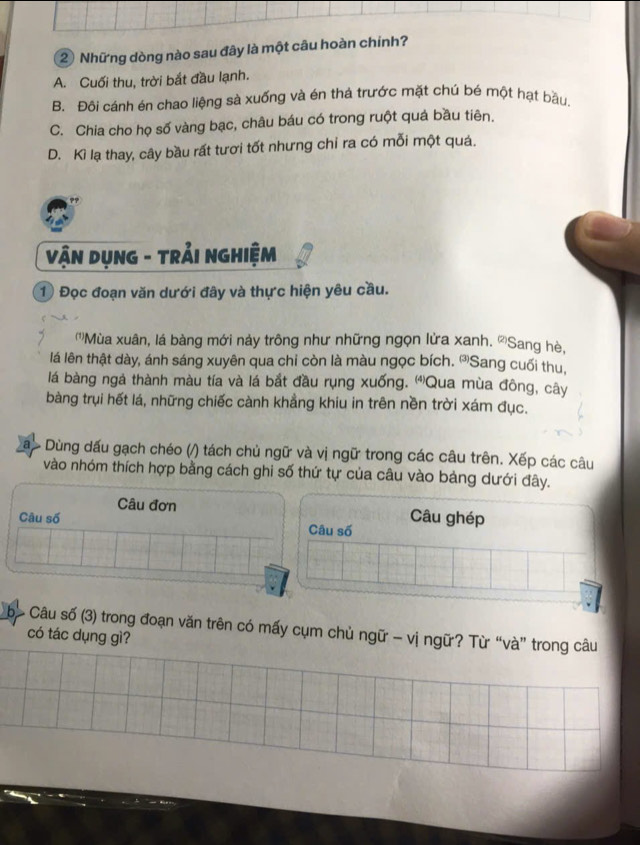 Những dòng nào sau đây là một câu hoàn chính?
A. Cuối thu, trời bắt đầu lạnh.
B. Đôi cánh én chao liệng sà xuống và én thả trước mặt chú bé một hạt bầu,
C. Chia cho họ số vàng bạc, châu báu có trong ruột quả bầu tiên.
D. Kì lạ thay, cây bầu rất tươi tốt nhưng chỉ ra có mỗi một quả.
VậN DụNG - TRẢI NGHIệM
① Đọc đoạn văn dưới đây và thực hiện yêu cầu.
''Mùa xuân, lá bàng mới này trông như những ngọn lửa xanh. 'Sang hè,
lá lên thật dày, ánh sáng xuyên qua chỉ còn là màu ngọc bích. ''Sang cuối thu,
lá bàng ngả thành màu tía và lá bắt đầu rụng xuống. Qua mùa đông, cây
bàng trụi hết lá, những chiếc cành khẳng khiu in trên nền trời xám đục.
Dùng dấu gạch chéo (/) tách chủ ngữ và vị ngữ trong các câu trên. Xếp các câu
vào nhóm thích hợp bằng cách ghi số thứ tự của câu vào bảng dưới đây.
Câu đơn
Câu số Câu số Câu ghép
b> # Câu số (3) trong đoạn văn trên có mấy cụm chủ ngữ - vị ngữ? Từ “và” trong câu
có tác dụng gì?